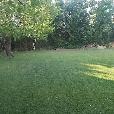 Pet-Friendly Riverside Nest * San Giovanni Teatino