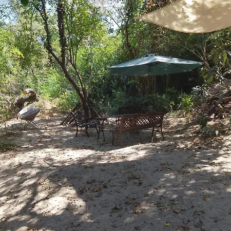 Pet-Friendly Riverside Nest