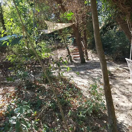 Pet-Friendly Riverside Nest Apartment *